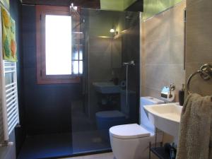 a bathroom with a toilet and a sink and a shower at Sagardikoetxea I in Oskotz