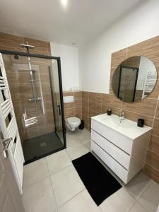 a bathroom with a toilet and a sink and a shower at Les Balcons de la Vallée in Haybes