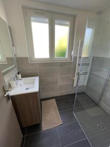 a bathroom with a sink and a shower at Les Balcons de la Vallée in Haybes