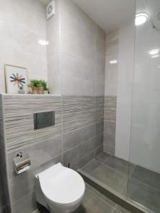 a bathroom with a toilet and a shower at Cozy One-Bedroom Apartment at Ljubovic Park in Podgorica +4 photos