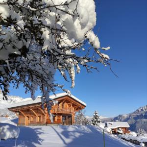 Chalet neuf vue panoramique sur le MONT-BLANC v zime