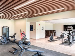 Fitness centrum a/nebo fitness zařízení v ubytování Luton Vacation Homes - Elite Residence Downtown, Dubai
