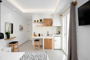Kuchyň nebo kuchyňský kout v ubytování Naxos Maes Studios