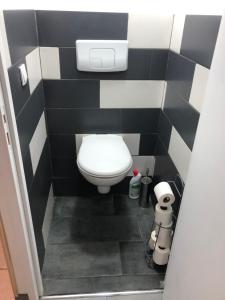 uma casa de banho com um WC numa parede a preto e branco em appartement 10 couchages le lioran bord rando/ski em Le Lioran