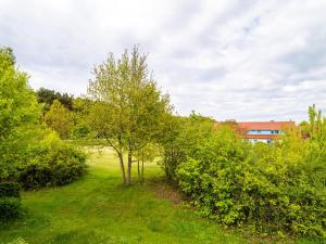 a row of trees in a field with a building in the background at Feriendorf Rugana - Komfort Appartement mit 1 Schlafzimmer B12 in Dranske
