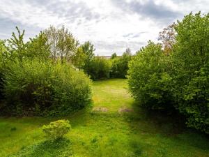 einen Blick über einen Garten mit Büschen und Bäumen in der Unterkunft Feriendorf Rugana - Klassik Appartement mit 1 Schlafzimmer B21 in Dranske