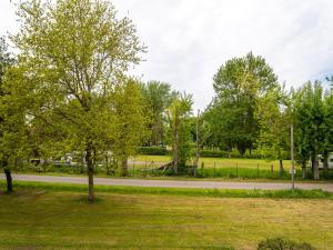 un parque con un árbol y una carretera en Feriendorf Rugana - Budget Appartement mit 1 Schlafzimmer C40, en Dranske