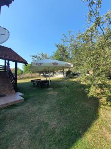 Κήπος έξω από το Apartman Marko