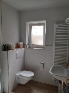 een witte badkamer met een toilet en een wastafel bij Ferienwohnung im Weltkulturerbe Mittelrhein Lorch in Lorchhausen