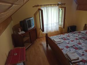 TV i/ili multimedijalni sistem u objektu Kod Dace