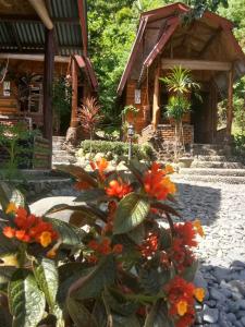 a garden with orange flowers in front of a building at Lucky Bamboo' Bungalows-Resto and OrangUtan Jungle Trekking Tours in Bukit Lawang