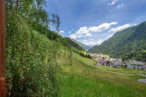 Priroda u blizini apartmana