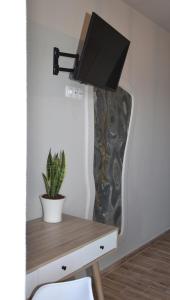 a desk with a lamp and a plant on it at Αιγιαλίς - Πολυτελη διαμερισματα in Karistos