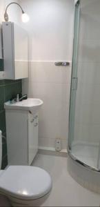 a bathroom with a shower and a toilet and a sink at Apartament Busko-Zdrój - Franio in Busko-Zdrój