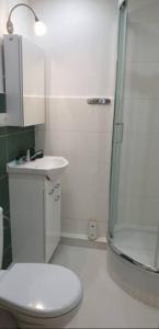 łazienka z prysznicem, toaletą i umywalką w obiekcie Apartament Busko-Zdrój - Franio w Busku Zdroju