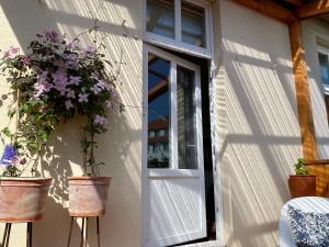 Zahrada ubytování Kläve12 Guesthouse