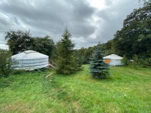 two trees and tents in a field with trees at Eco Yourte Les Airelles in Saint-Anthème
