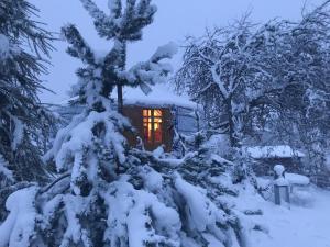 a cabin in the woods in the snow at Eco Yourte Les Airelles in Saint-Anthème