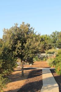 a walkway with a tree in a garden at MARIS Apartments & Bedrooms in Alghero