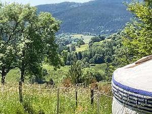 a view of a valley with a fence and trees at Eco Yourte Les Airelles in Saint-Anthème