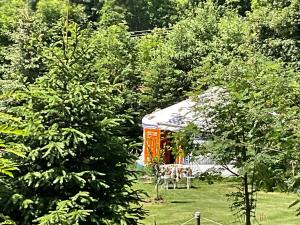 a cabin in the middle of a yard with trees at Eco Yourte Les Airelles in Saint-Anthème