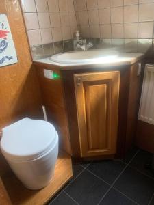 a bathroom with a toilet and a sink at Narrowboat stay or Moving Holiday Abingdon On Thames DIFFERENT RATES APPLY ENSURE CORRECT RATE SELECTED in Abingdon
