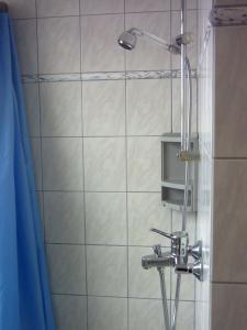 a shower in a bathroom with a blue shower curtain at Ferienwohnung Lucia Huber in Uhldingen-Mühlhofen