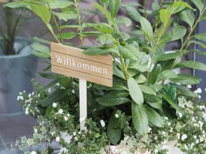 Gallery image of Hotel & Steakhouse am Schlosspark in Putbus