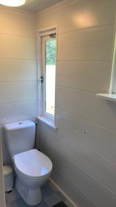 a bathroom with a white toilet and a window at Chalet "naast de Schoppe" in Aalten