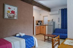 Kuchyň nebo kuchyňský kout v ubytování Chez Pepe Apartments