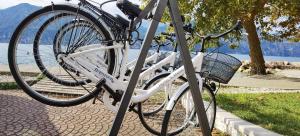 Jazda na bicykli v okolí ubytovania Hotel S.Maria