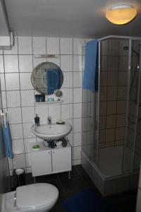 e bagno con servizi igienici, lavandino e doccia. di Ferienwohnung Peerenboomshof a Kranenburg