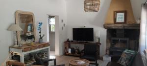 sala de estar con TV y chimenea en Le cabanon de la Citelle, en Rochefort-en-Valdaine