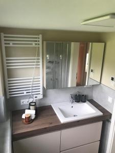 ein Badezimmer mit Waschbecken und Spiegel in der Unterkunft TINY LIEBE Ostsee Ostsee- bei Wismar in Neuburg