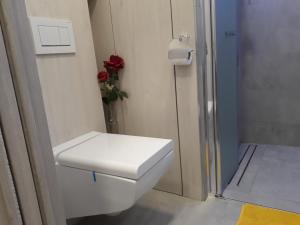 a white toilet in a bathroom with a red flower at Garsonka Ostrava in Ostrava