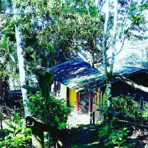 a house with a blue roof in the forest at Pochotel in Turrialba