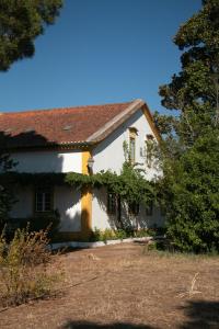 Gallery image of Quinta de SantAna da Várzea in Abrantes