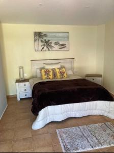 聖地亞哥港的住宿－Winter Wonderland，一间卧室配有一张大床和两张地毯。