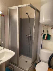 W łazience znajduje się prysznic, toaleta i umywalka. w obiekcie Superbesse - 300m pistes & lac - App 6 pers w mieście Besse-et-Saint-Anastaise