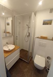 ein Bad mit einer Dusche, einem WC und einem Waschbecken in der Unterkunft Haus Brandenburg App 43 in Westerland