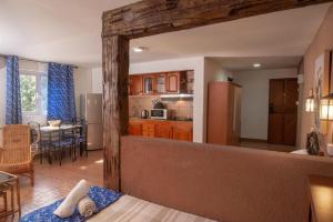 Kuchyň nebo kuchyňský kout v ubytování Chez Pepe Apartments + 27 fotografií