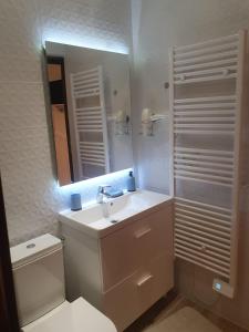ein Badezimmer mit einem WC, einem Waschbecken und einem Spiegel in der Unterkunft Luxe studio près de CDG & Paris& Parc d'exposition in Aulnay-sous-Bois