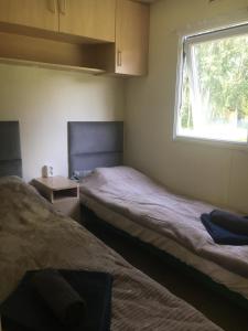 two beds in a small room with a window at Holender nad Saskiem in Kobyłocha