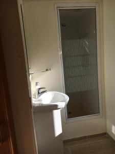 a bathroom with a sink and a shower with a mirror at Holender nad Saskiem in Kobyłocha