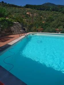 a blue swimming pool with a hill in the background at Casa Maggiali in Portovenere