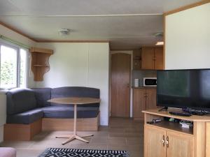 a living room with a couch and a television at Holender nad Saskiem in Kobyłocha