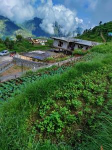 Tehri-Garhwāl的住宿－The Mountilla Resort，相簿中的一張相片