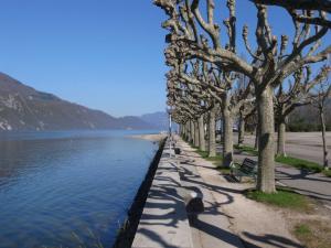 une rangée d'arbres à côté d'une masse d'eau dans l'établissement bedroom, à Aix-les-Bains