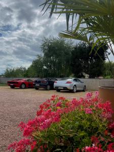 trzy samochody zaparkowane na parkingu z różowymi kwiatami w obiekcie Hôtel du Cerf w mieście La Guerche-sur-lʼAubois