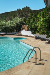 オルビアにあるVilla Rocce Sardeのギャラリーの写真